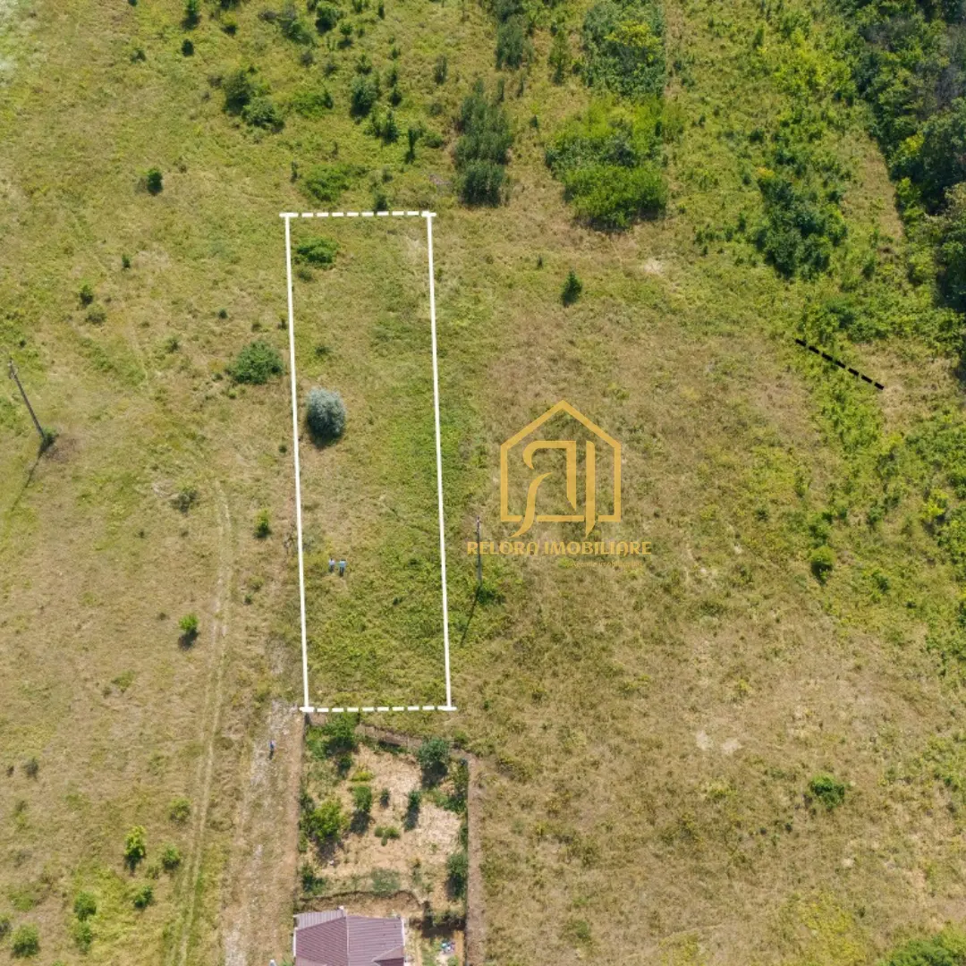 Terrain constructible de 1 600 m² à Chicerea, commune de Tomești (Iași) — photo 3